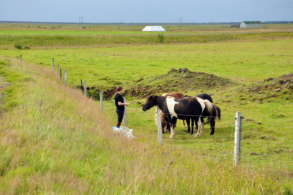 Hotel Hlid Hveragerdi Buitenkant foto